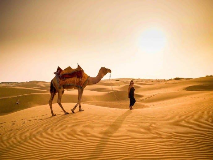 essential tips for a perfect camel safari in jaisalmer