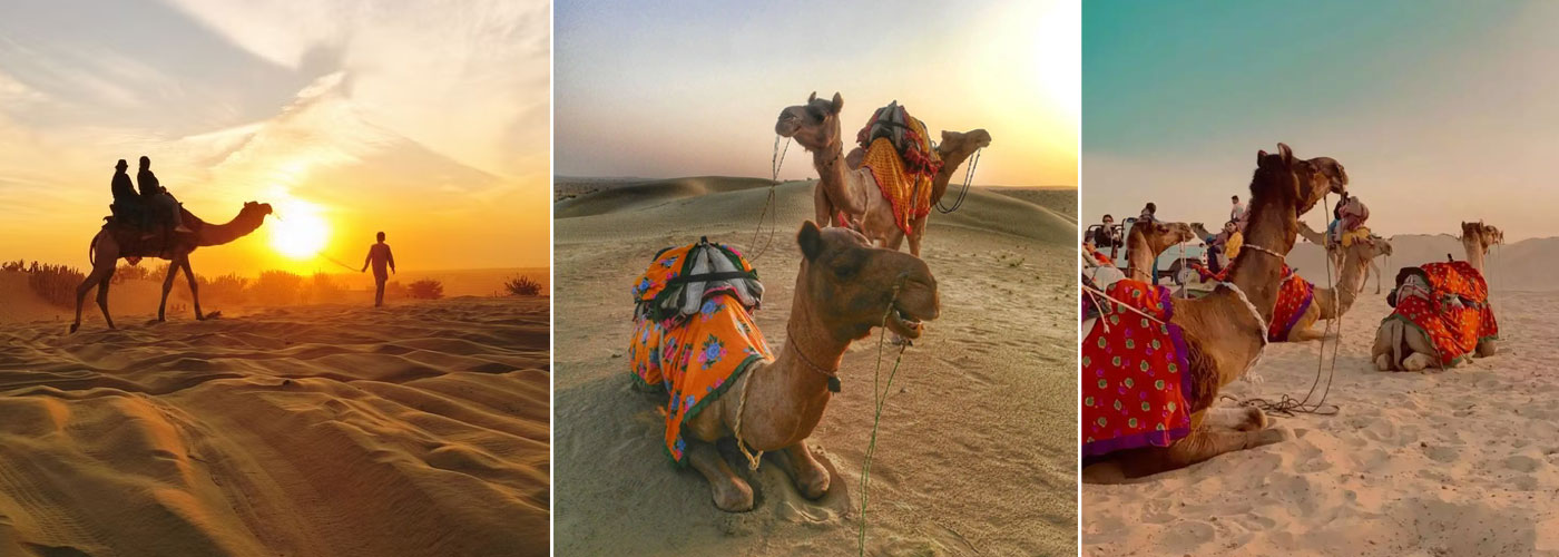 camel safari in jaisalmer – 8 important tips to have a great time!