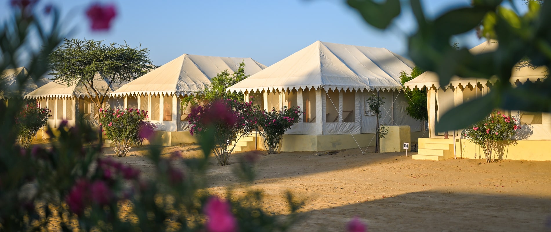 key considerations for choosing the perfect thar desert camp